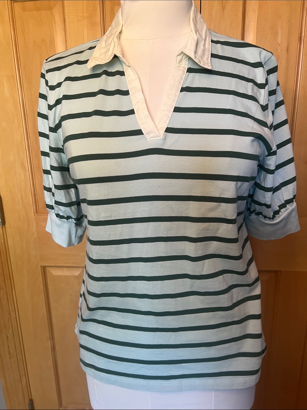 Talbots Mint and Dark Green Striped Polo V-Neck Short Sleeve Top
